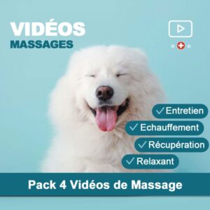 Pack 4 Vidéos de Massage