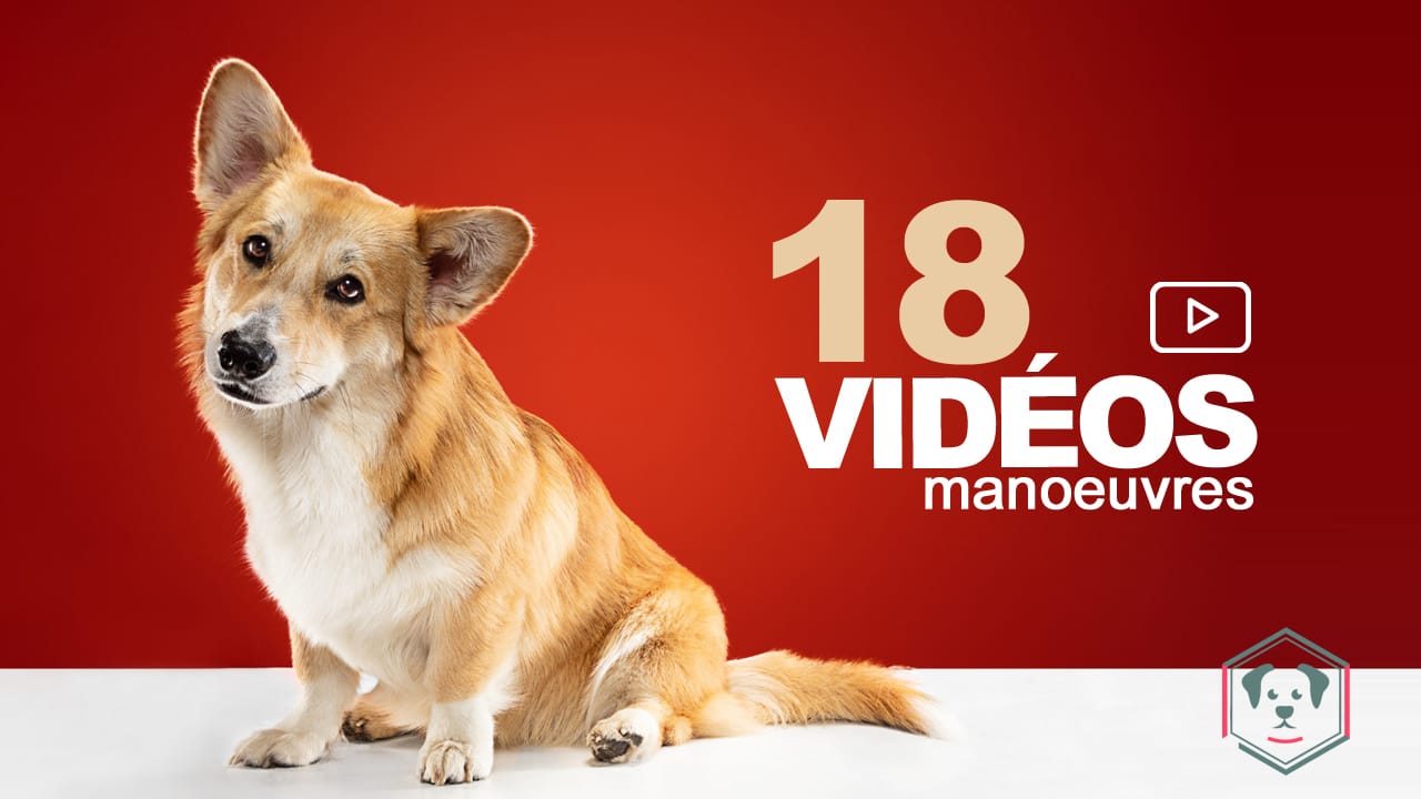Pack de 18 vidéos