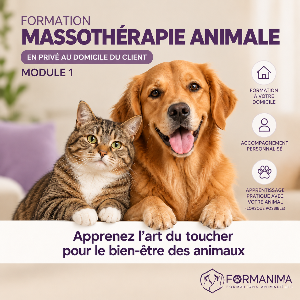 Formation Massothérapie Animale Module 1 A Domicile – CH