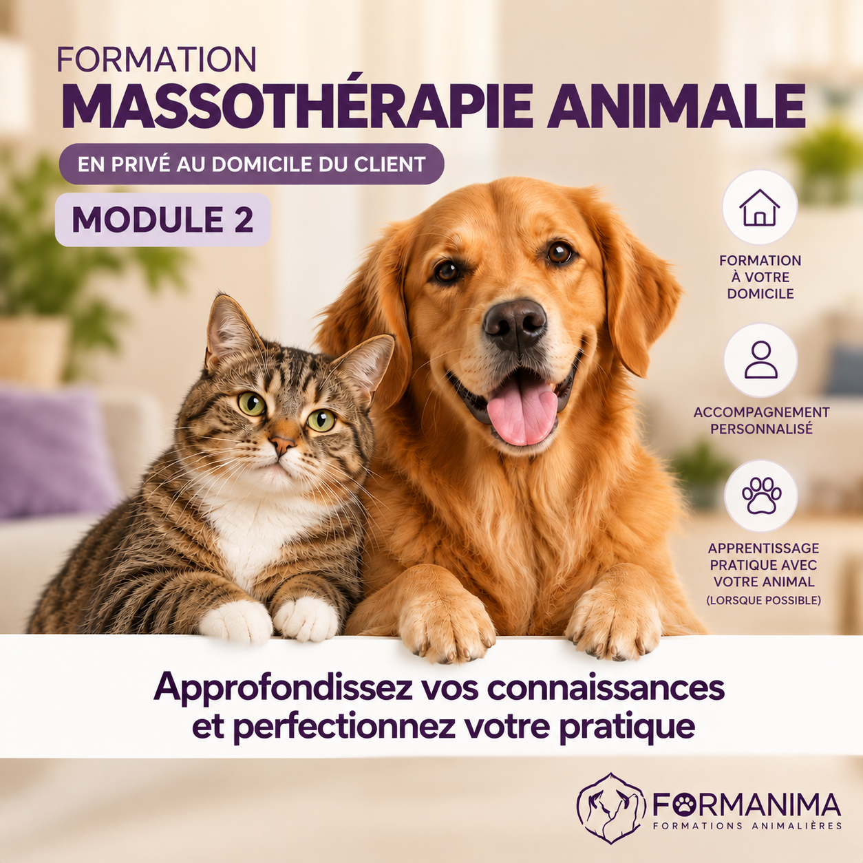 Formation Massothérapie Animale Module 2 A Domicile – CH