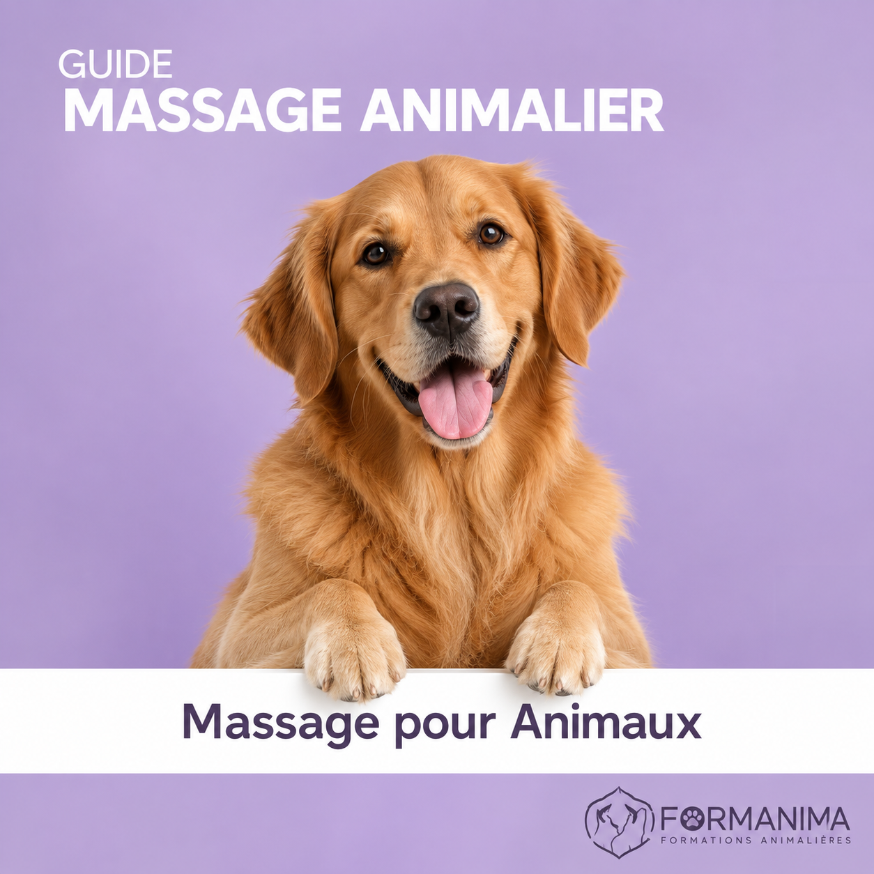 🤲 Guide de massage animalier