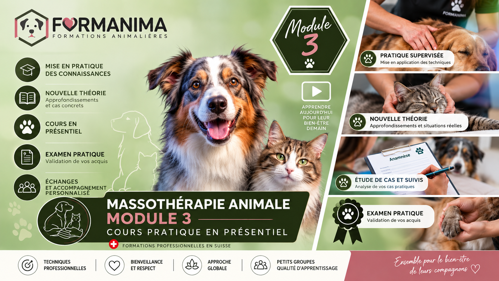 Massothérapie Animalière Module 3 du 21 février 2027